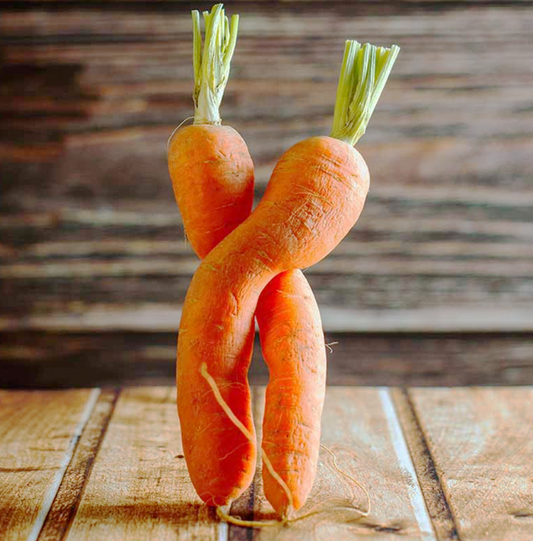 Twisted misshapened carrots used in Shameless Pets Upcycled Carrot Cat and Dog Treats