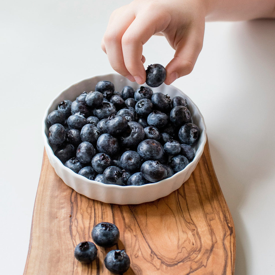 Can Dogs Eat Blueberries? Here’s the Juicy Truth