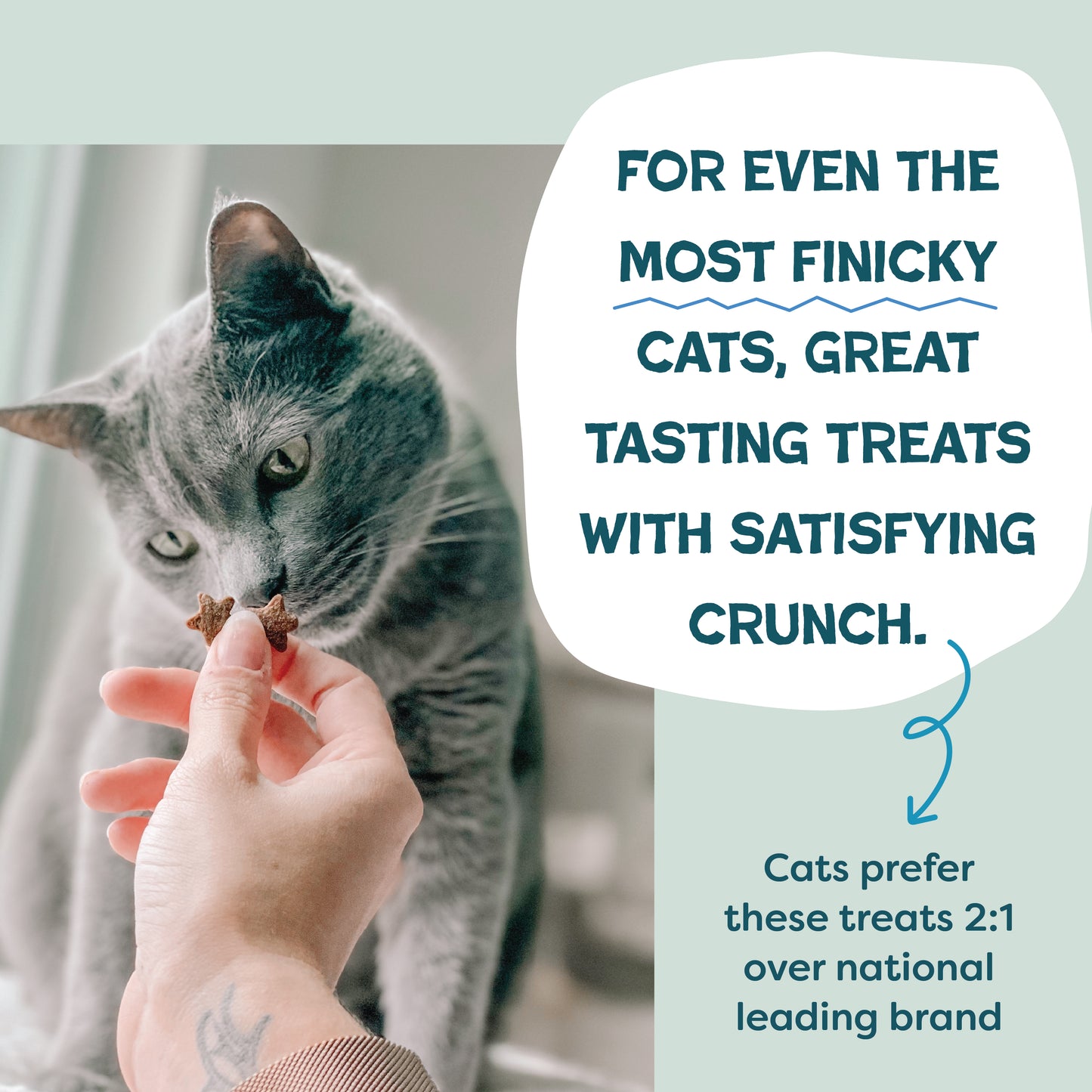 Catnip N Chill Tuna 2.5oz