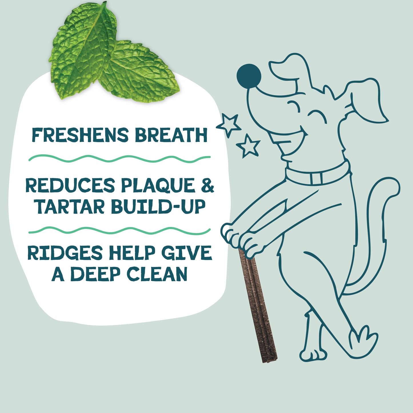 Mighty Mint Dental Sticks 8ct