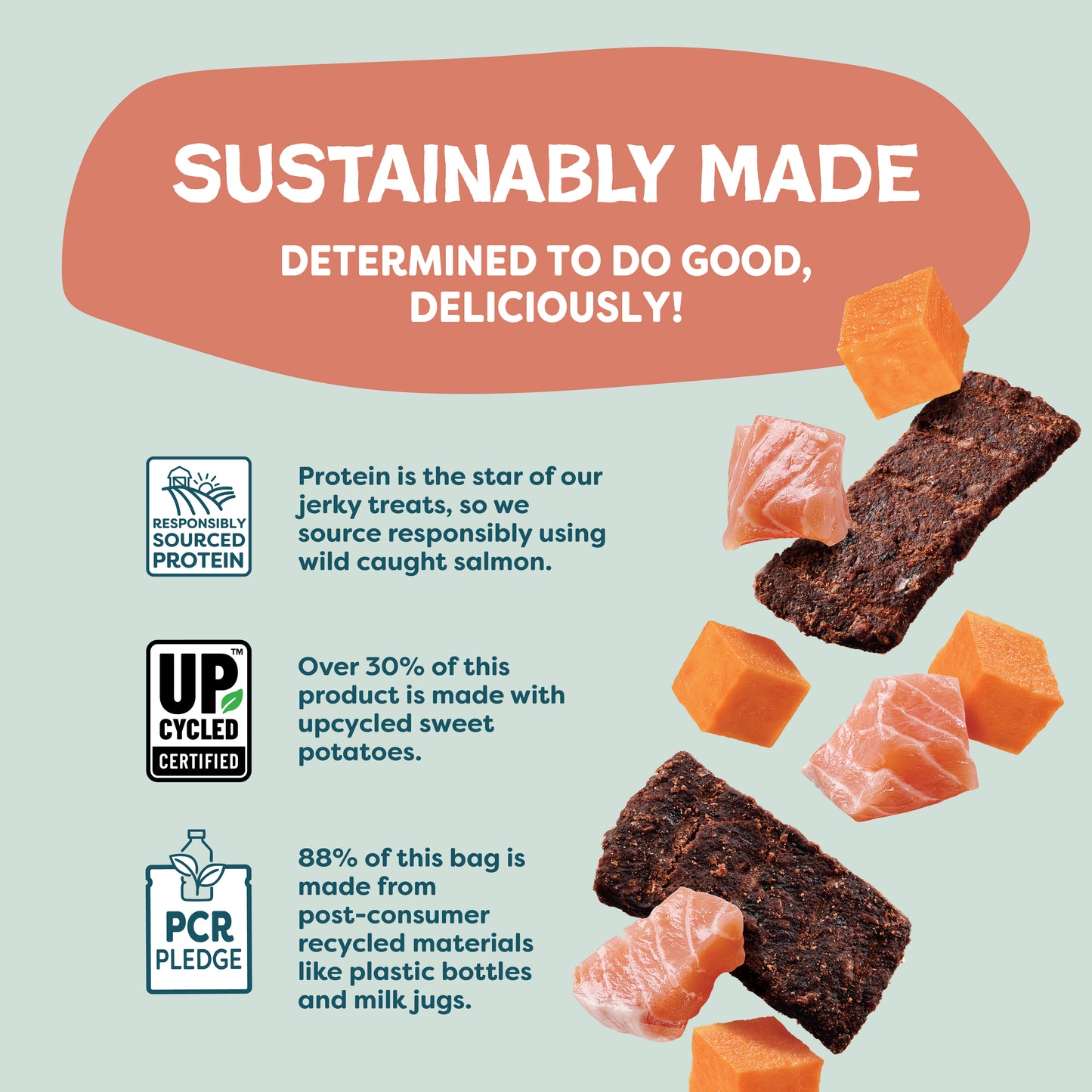 Salmon Loves Butternut Jerky Bites 14oz