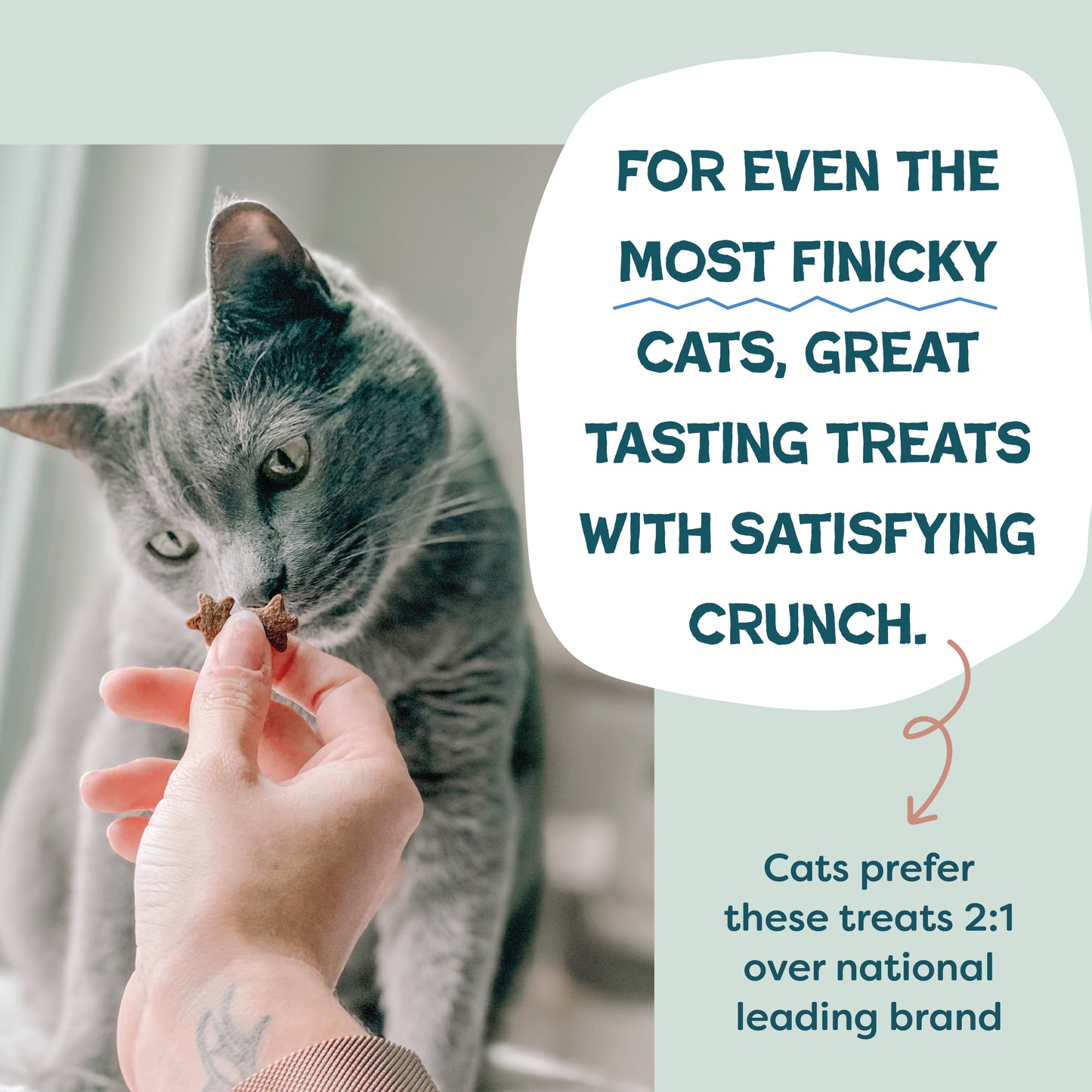 Catnip N Chill Yam Good Salmon 2.5oz