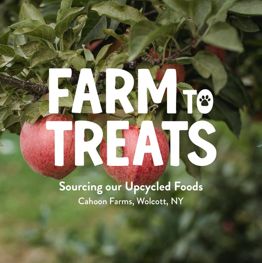 Farm to Treats: Cahoon Farms