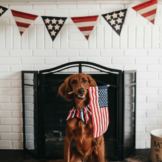 Fireworks & Fur Babies: How to Keep Your Pets Safe and Calm This 4th of July