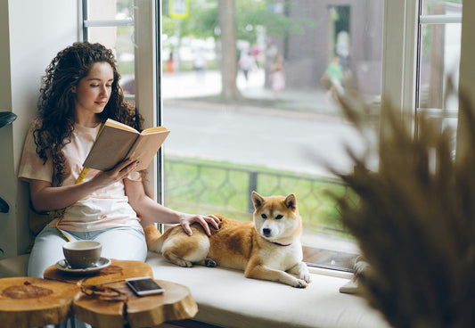 The Back-to-School Checklist Every Dog Deserves Too