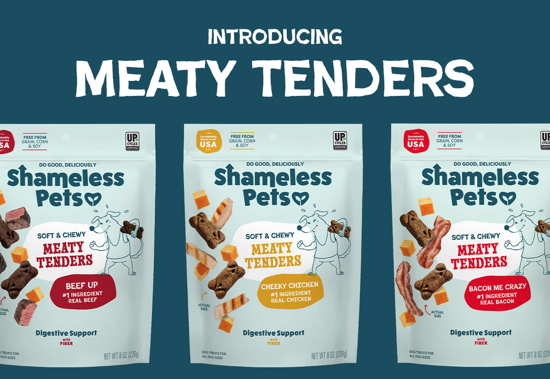 Introducing Meaty Tenders: Real Meat Dog Treats Your Pup Will Love