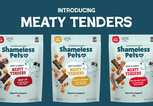 Introducing Meaty Tenders: Real Meat Dog Treats Your Pup Will Love