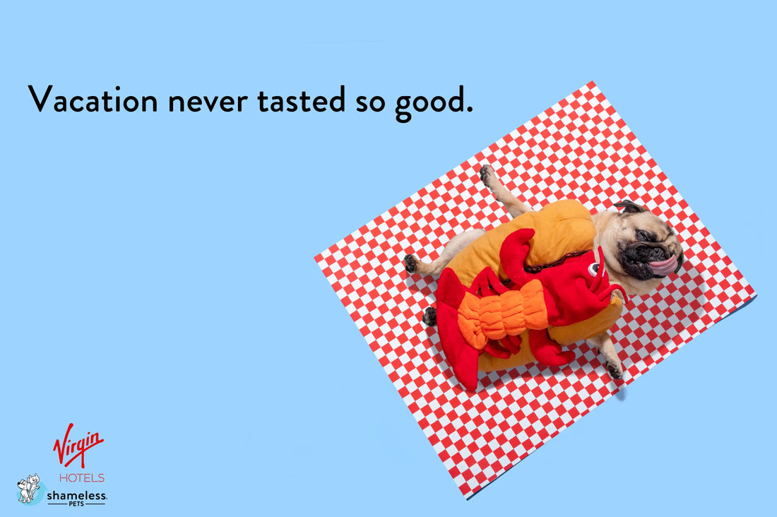 Vacation never tasted so good. Shameless Pets and Virgin Hotels 