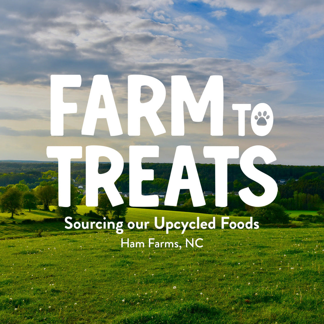 Ham Farms