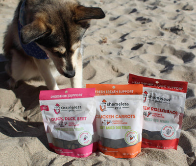 Where (...and why!) To Buy Shameless Pets Treats