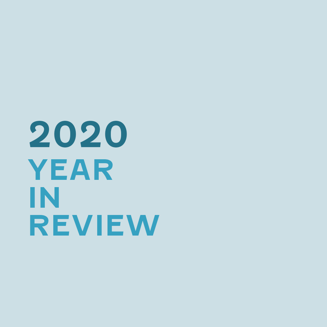 2020 Shameless Pets Year in Review graphic