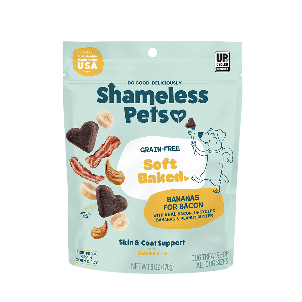 Why Do Cats Love Catnip The Science Surprising Health Benefits why-do-cats-love-catnip-the-science-surprising-health-benefits