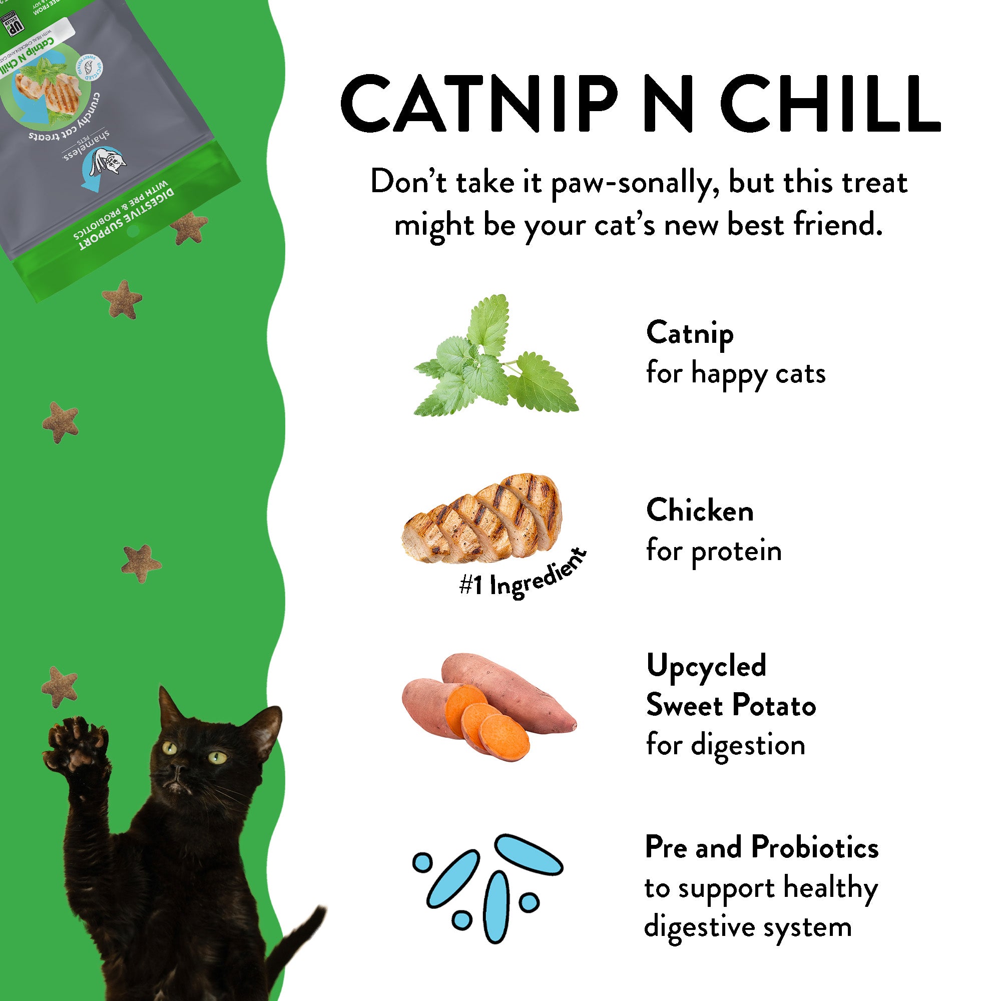 Catnip treats outlet for cats