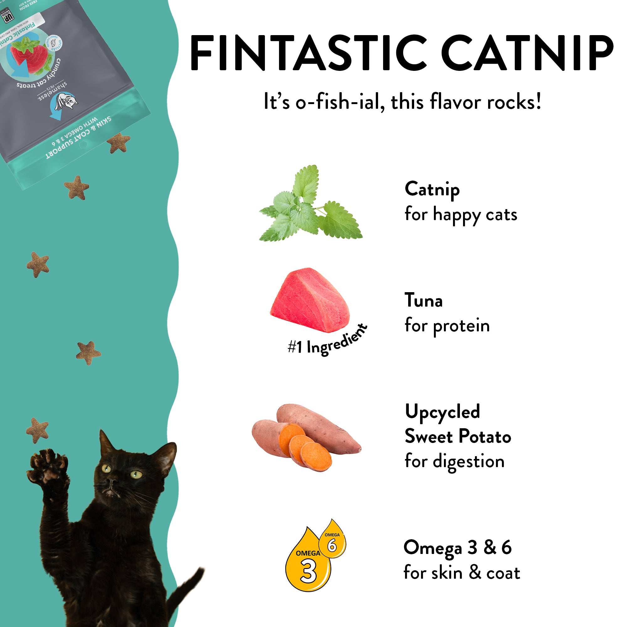 Is fish flavored cheap food bad for cats