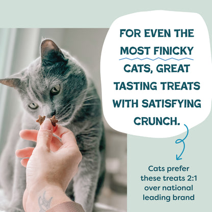 Catnip N Chill Tuna 2.5oz