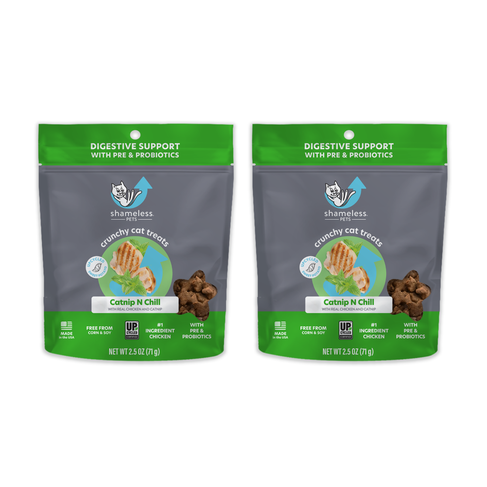 Dog treats for cats best sale