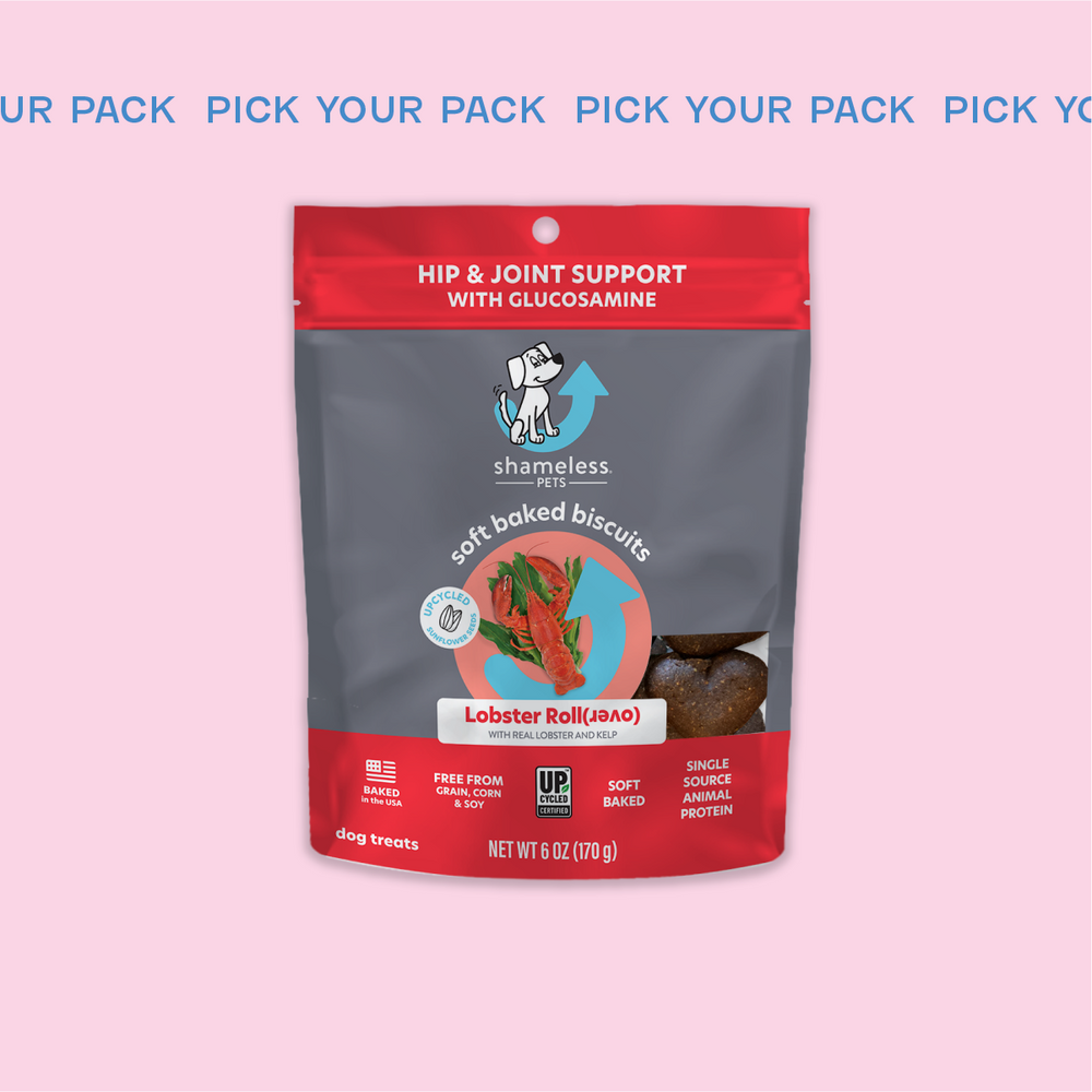 Dog treat subscription best sale