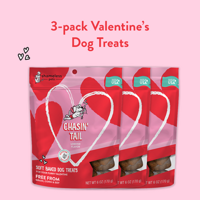 Chasin Tail 3-pack Valentine's Dog Treats