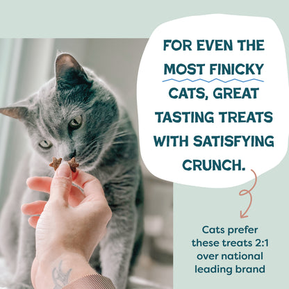 Catnip N Chill Yam Good Salmon 2.5oz