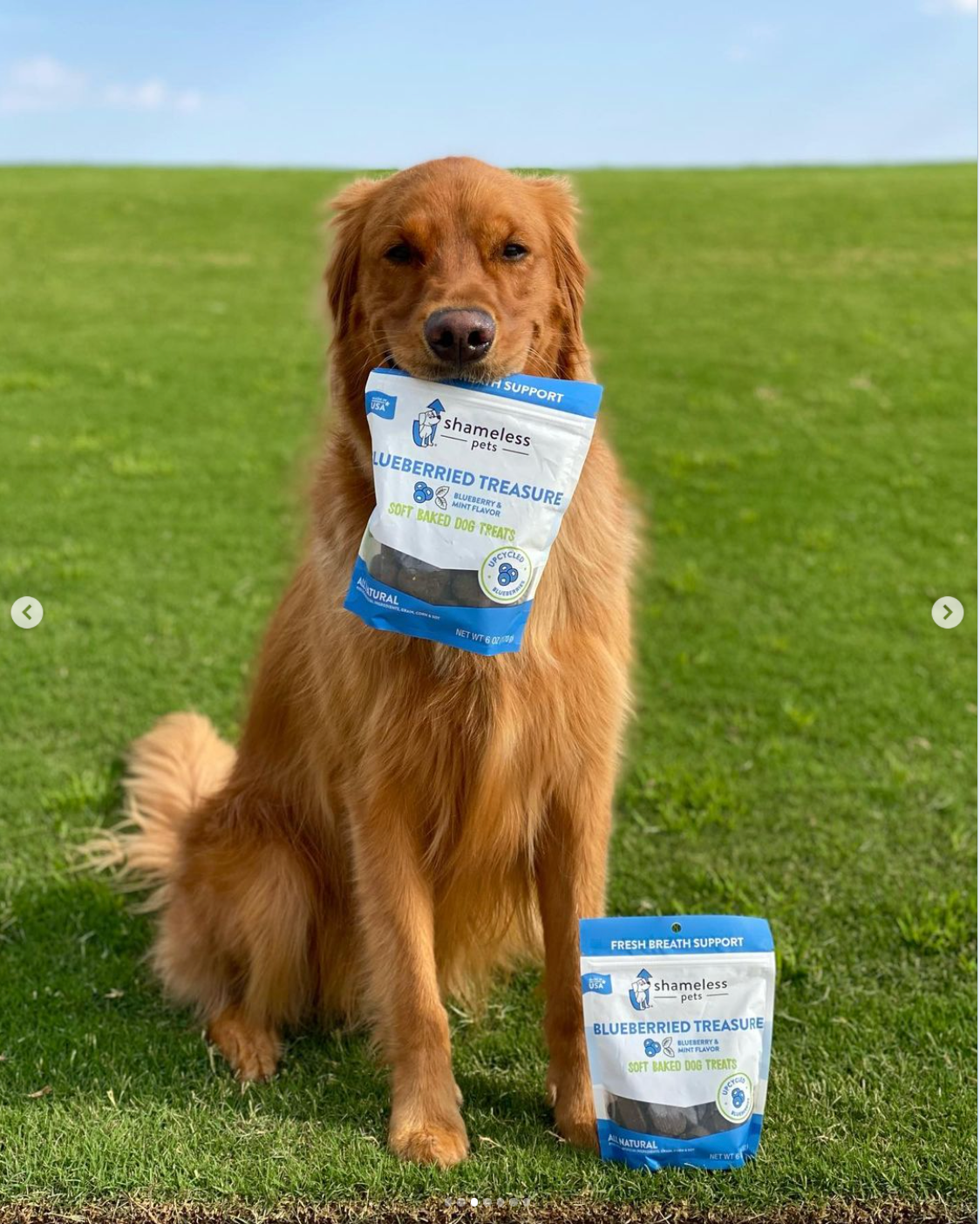 Soft dog breath mints 2025