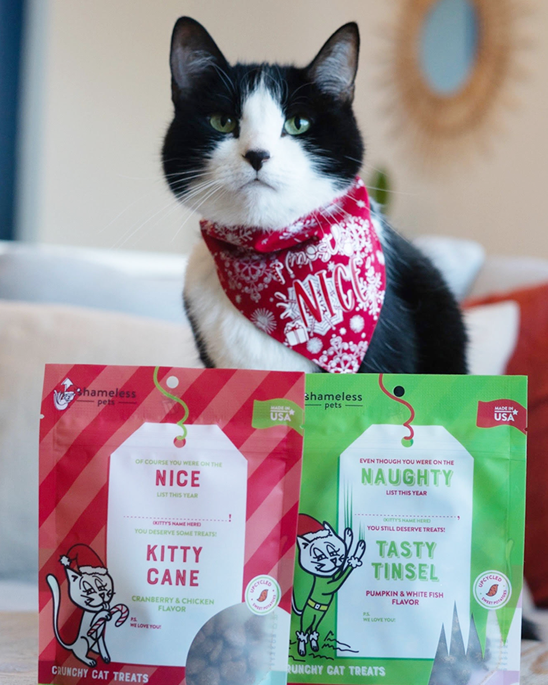 Holiday cat treats best sale