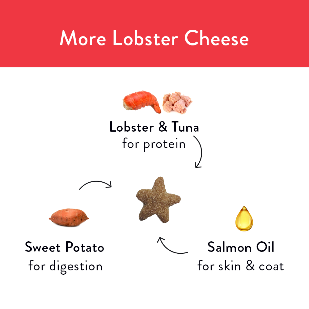 Lobster mac and cheese cat clearance treats