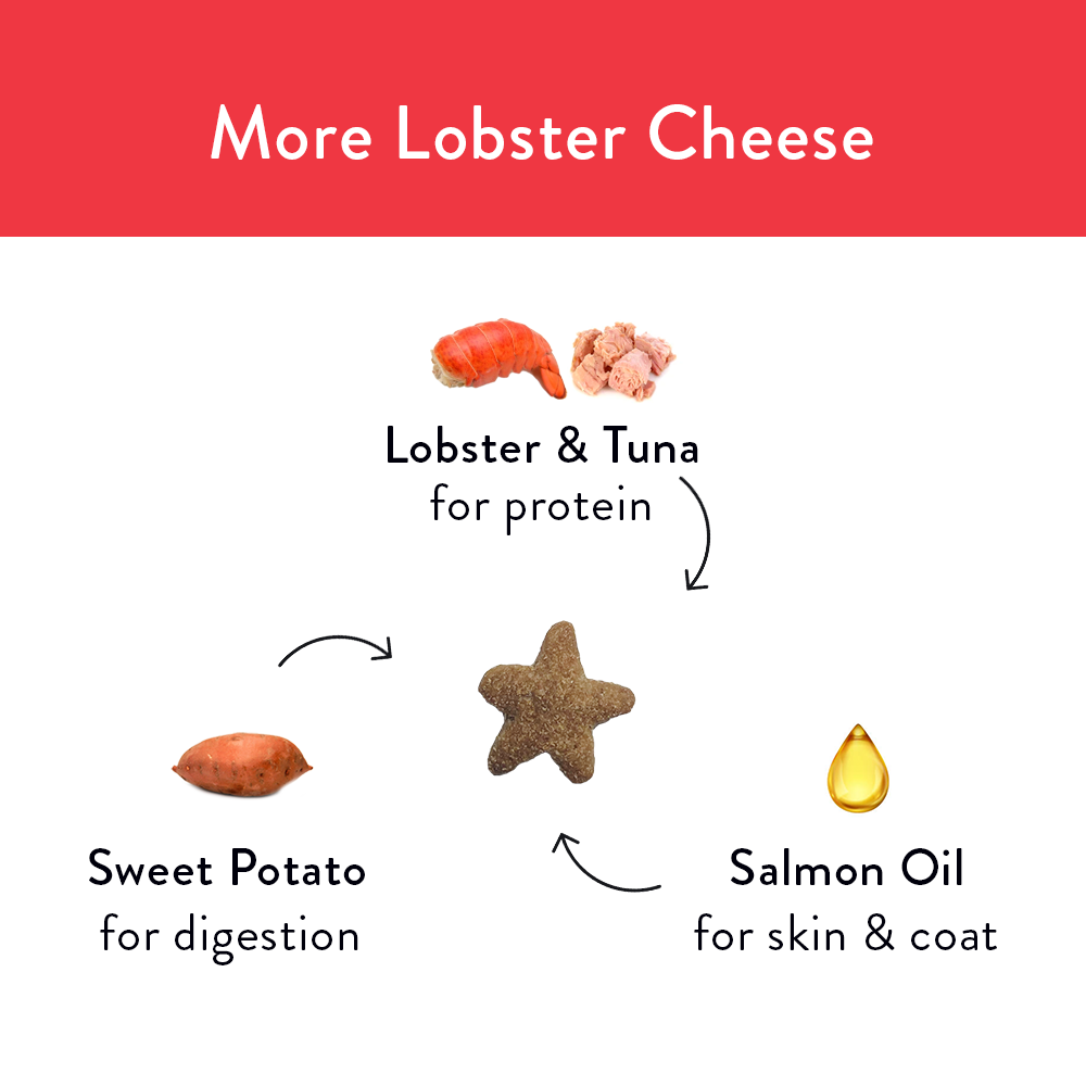 More Lobster Cheese Upcycled Crunchy Cat Treat from Shameless Pets
