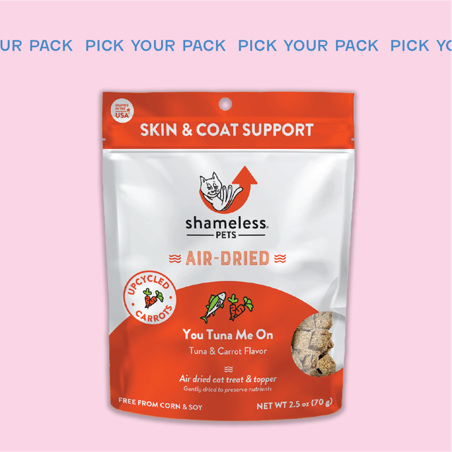 Cat outlet treat subscription