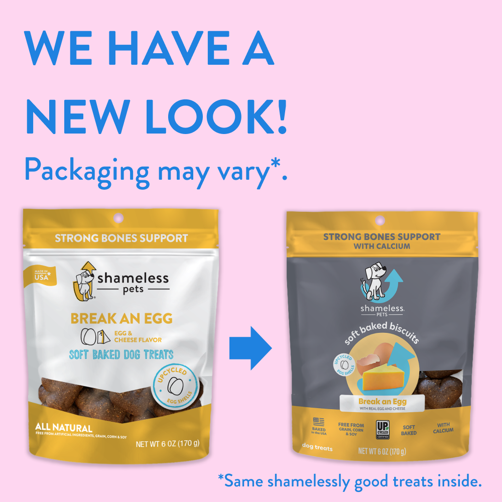 Egg hot sale dog treats